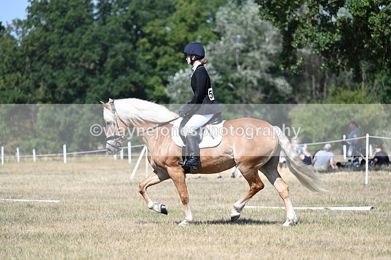 WJ7_0319 - Time 11:33 to 11:44