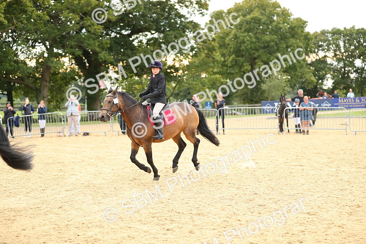 SBM_76240 - J19 - Junior 90cm Supreme Championship