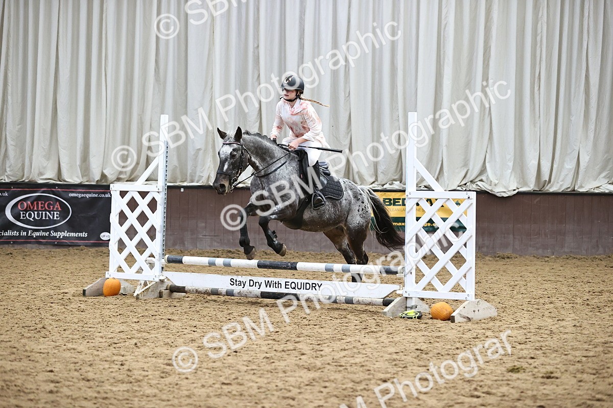 SBM_001485 - Class 3 - Horse & Hound 60cm