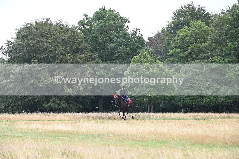 DSC_1678 - Time at Statue 12:13 to 12:32