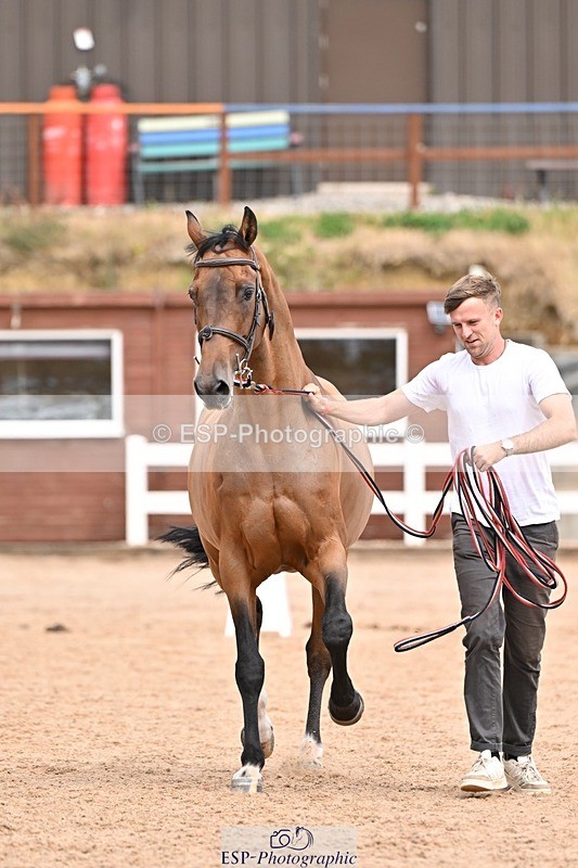 250716-154435-02176 - Trot Up 3.30 to 4.30