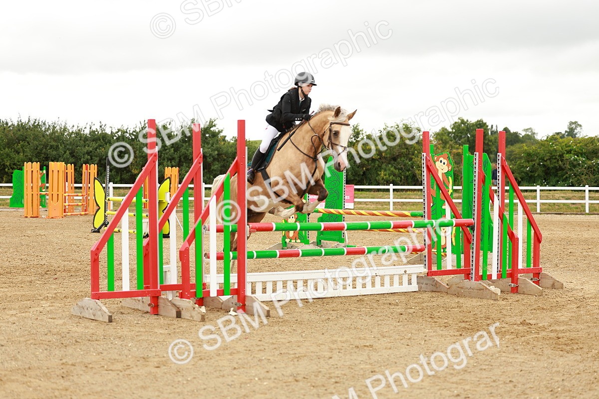SBM_001599 - Class 9 - Senior British Novice - 90cm
