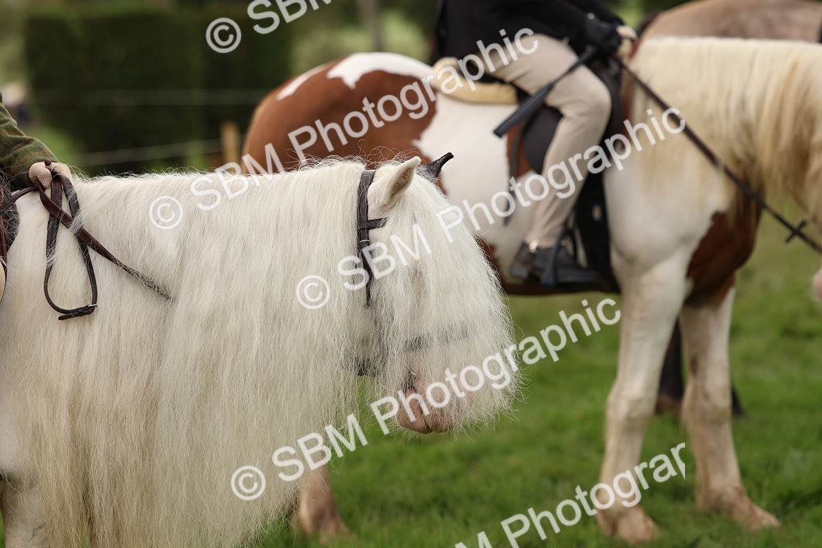 SBM_56687 - S40 - Starters Ridden Showing