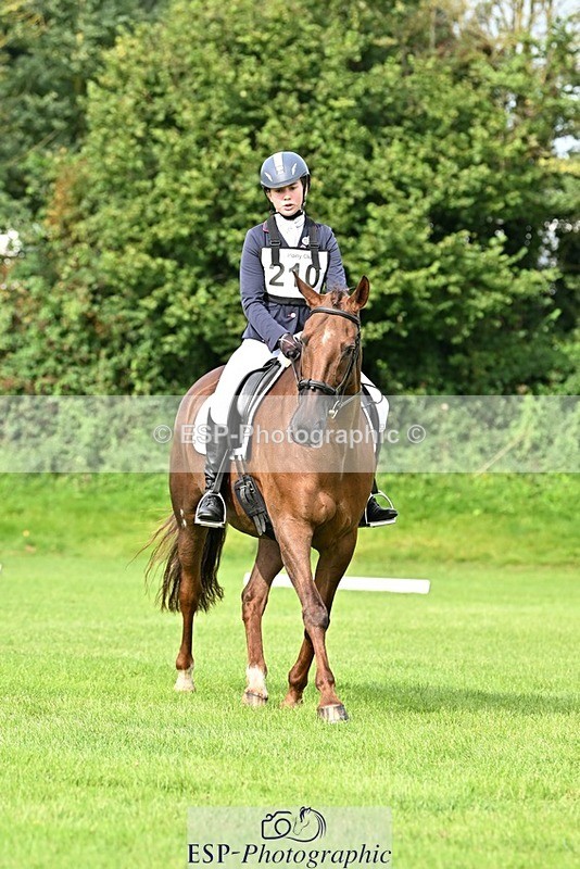 230826-100655-16379 - Sections A & B 10 to End