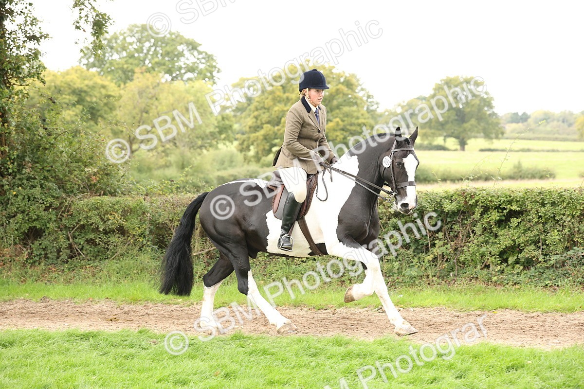 SBM_67241 - S67 - Piebald & Skewbald Horse Ridden