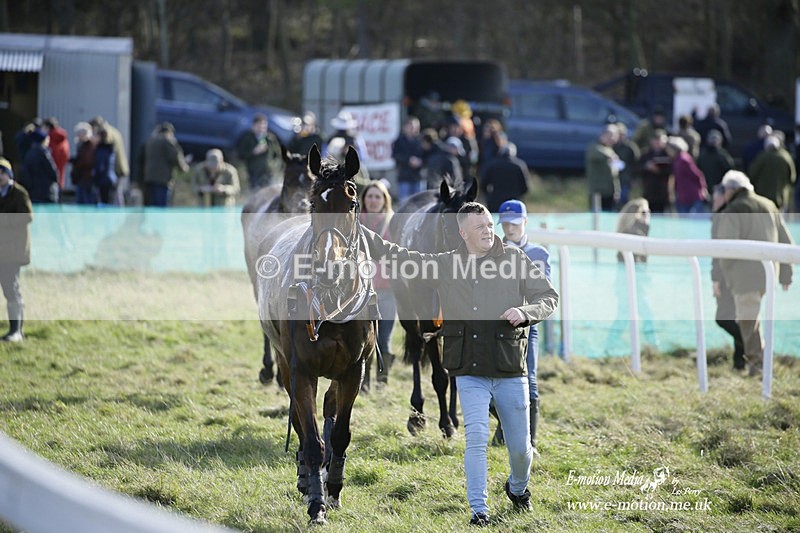 PtP 260222 417 - Kingston Blount Racing Club Point-to-Point 26/02/22