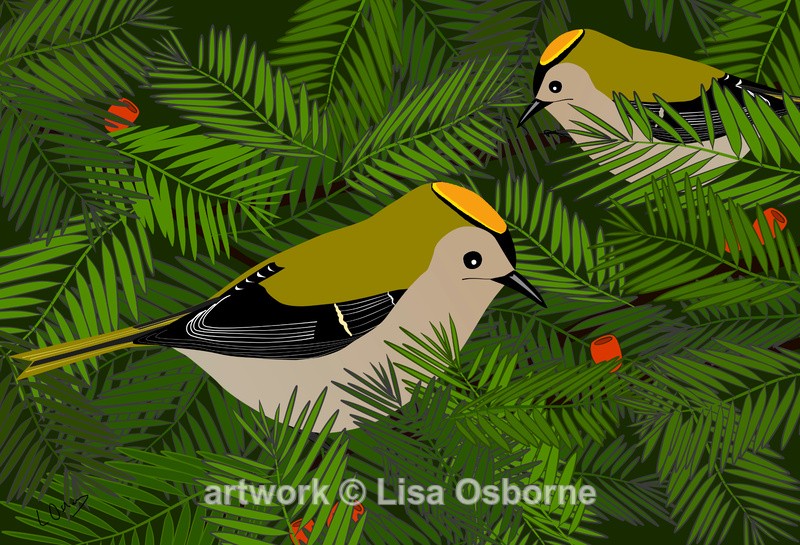 Goldcrests - DIGITAL ARTWORK