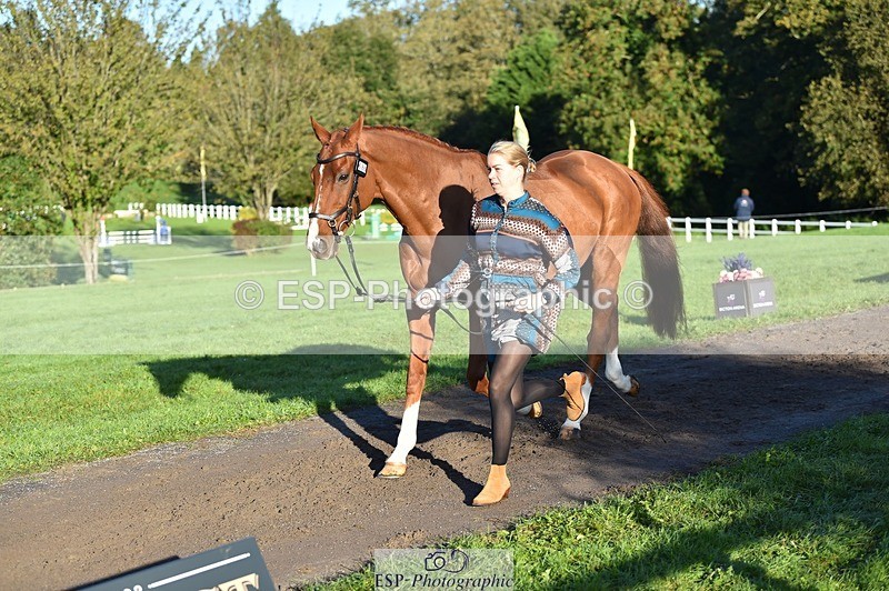 231022-092916-21824 - 686-MOORLAND.MAGIC-Charlotte.Chard-TrotUp+SJ