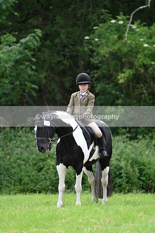 WJ7_2211 - Class 12A Coloured Class