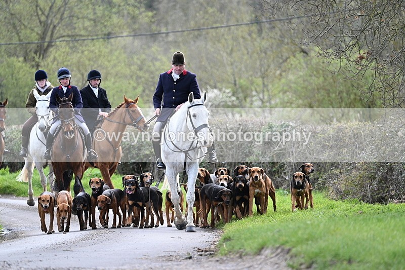 WJ7_9763 - Walk Home