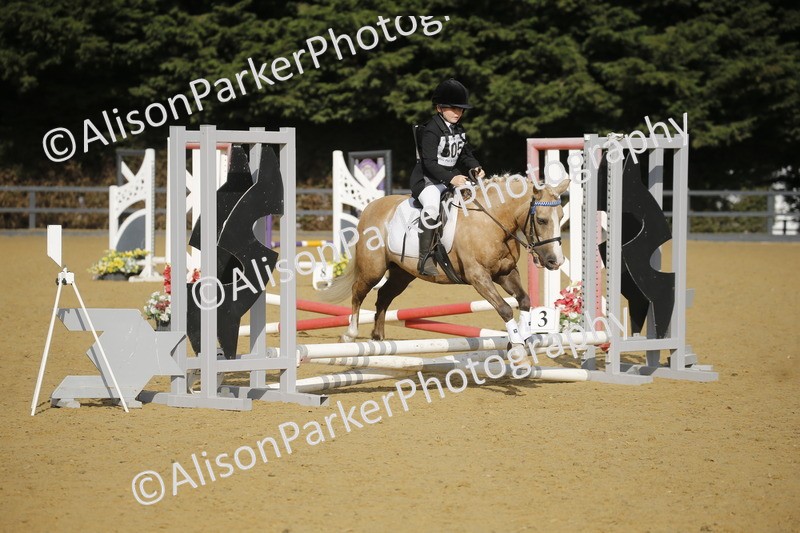 20250622-1194 - 40cm