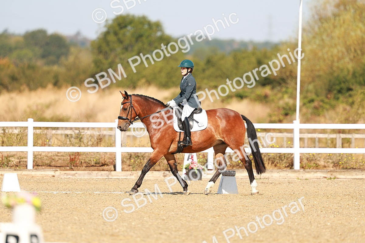 SBM_016701 - Class 9 - N5 Bronze 9.30.10.19