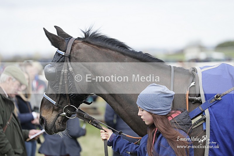 PtP 190323 376 - Oakley Hunt Point-to-Point Brafield-On-The-Green 19/03/23