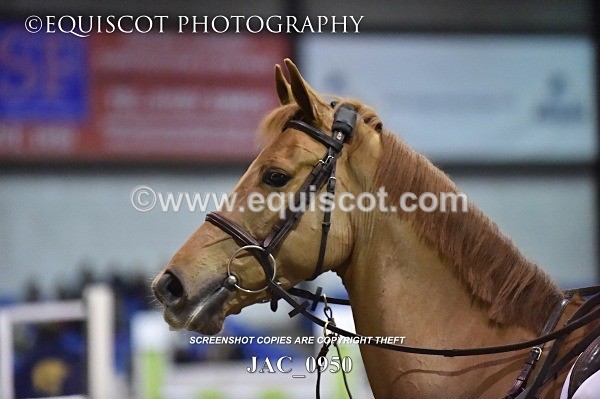 JAC_0950 - 14TH NOVEMBER 2017 - GEORGE & JAMES WHITAKER DEMO - MORRIS EC