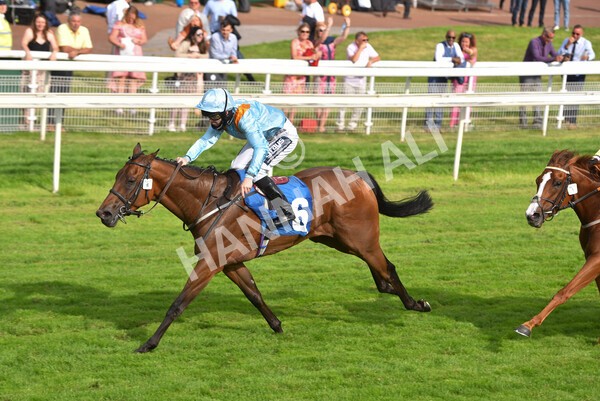 yr09072021r7-20 - Race 7 5.30pm William Hill Extra Place Races Stakes