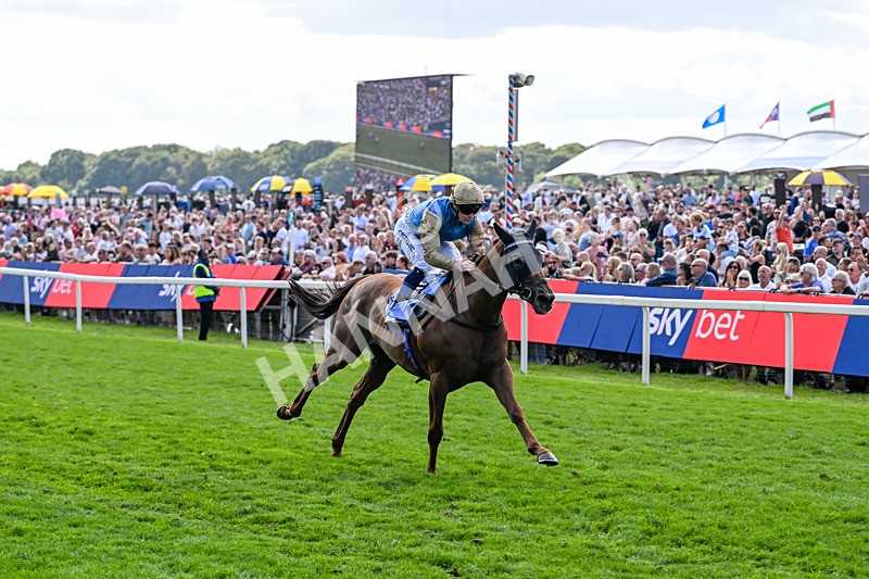 220826-Race 1-Archivist-9244 - Race 1 13.50pm Sky Bet Strensall Stakes