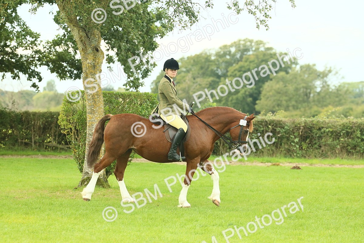 SBM_71819 - S60 - Mountain & Moorland Ridden Large Breeds