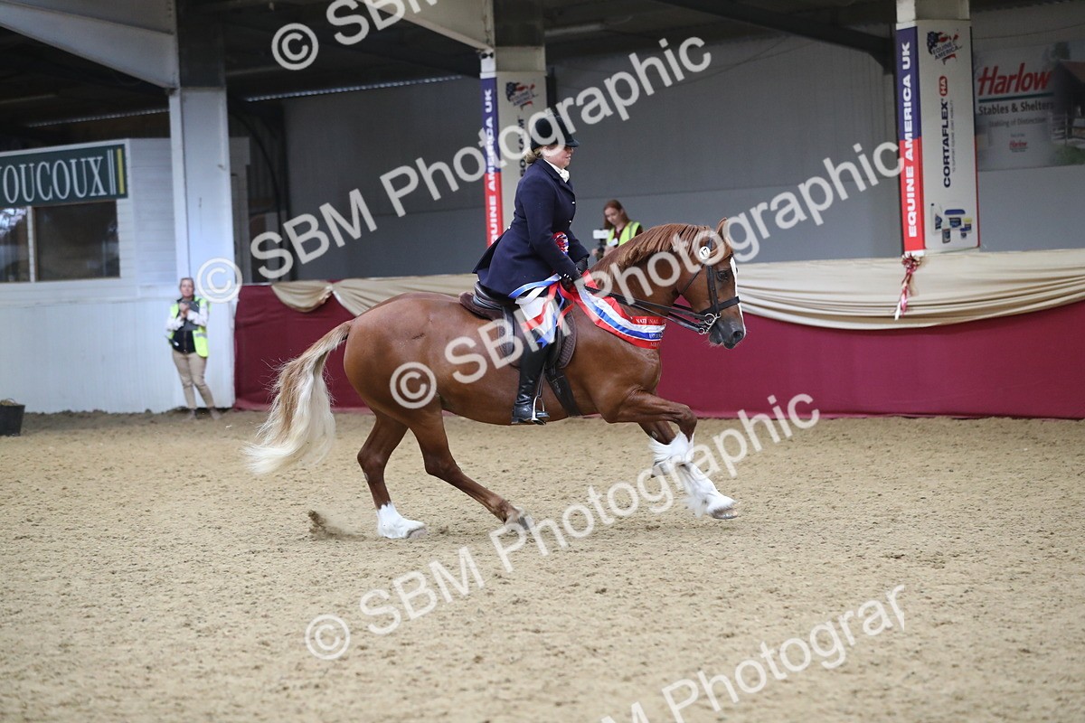 SBM_17236 - M&M Supreme Final Champ