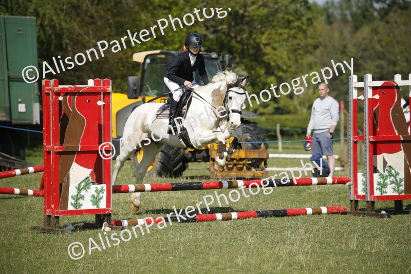 20250427-0444 - Class 12 - Rookie Jumping 40cm