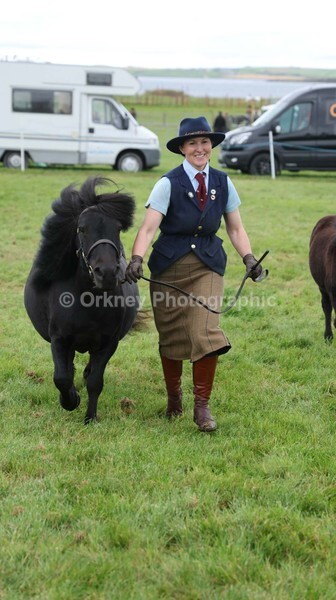 untitled-7162 - Shetland Pony Show