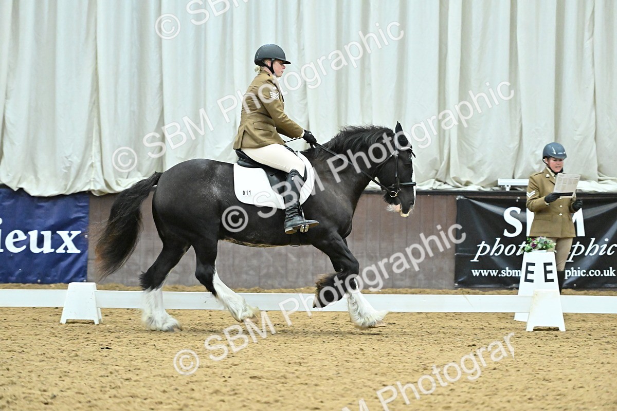 SBM_007456 - Class 81 - Novice 3