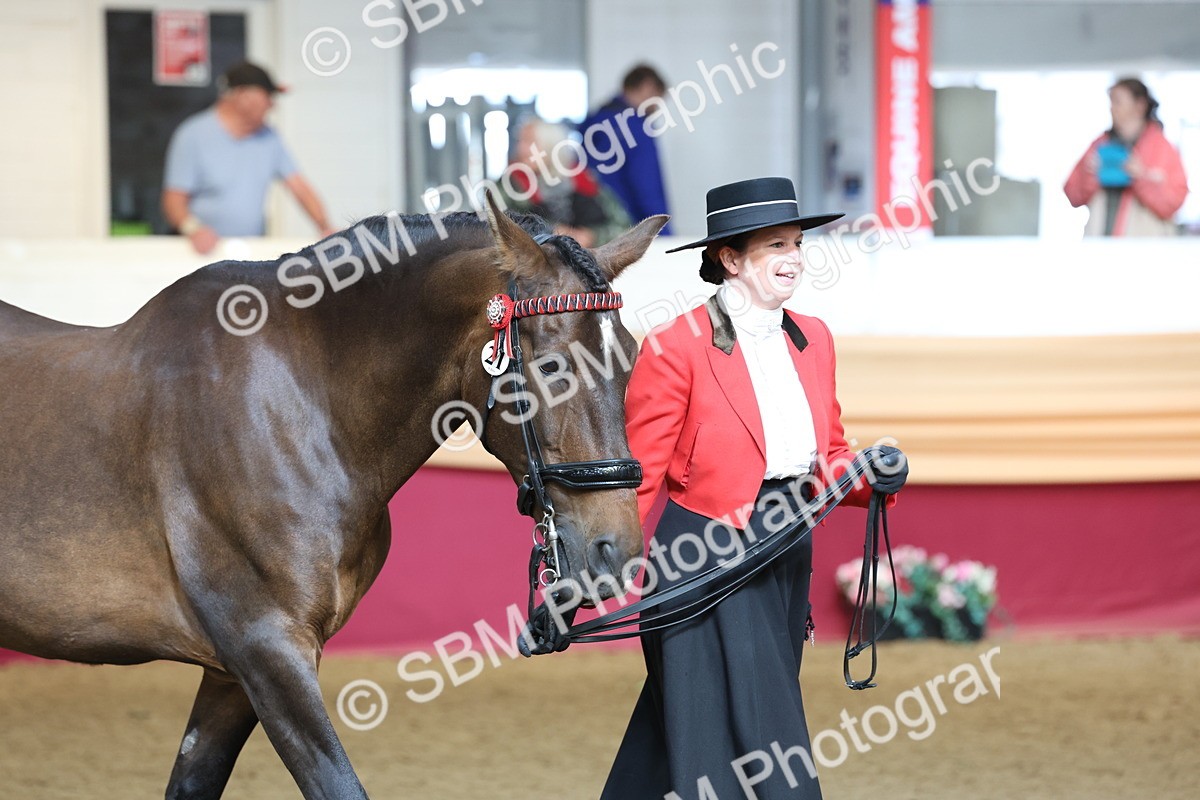 SBM_22541 - Class 902 - Supreme Final - IH Diamond