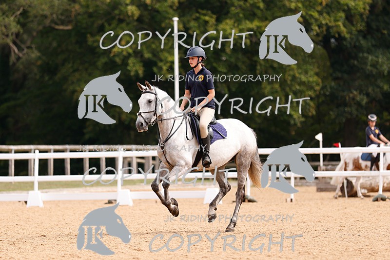 _R6A2558 - Dressage Morning
