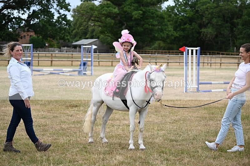 WJ6_5000 - Class 11 Fancy Dress