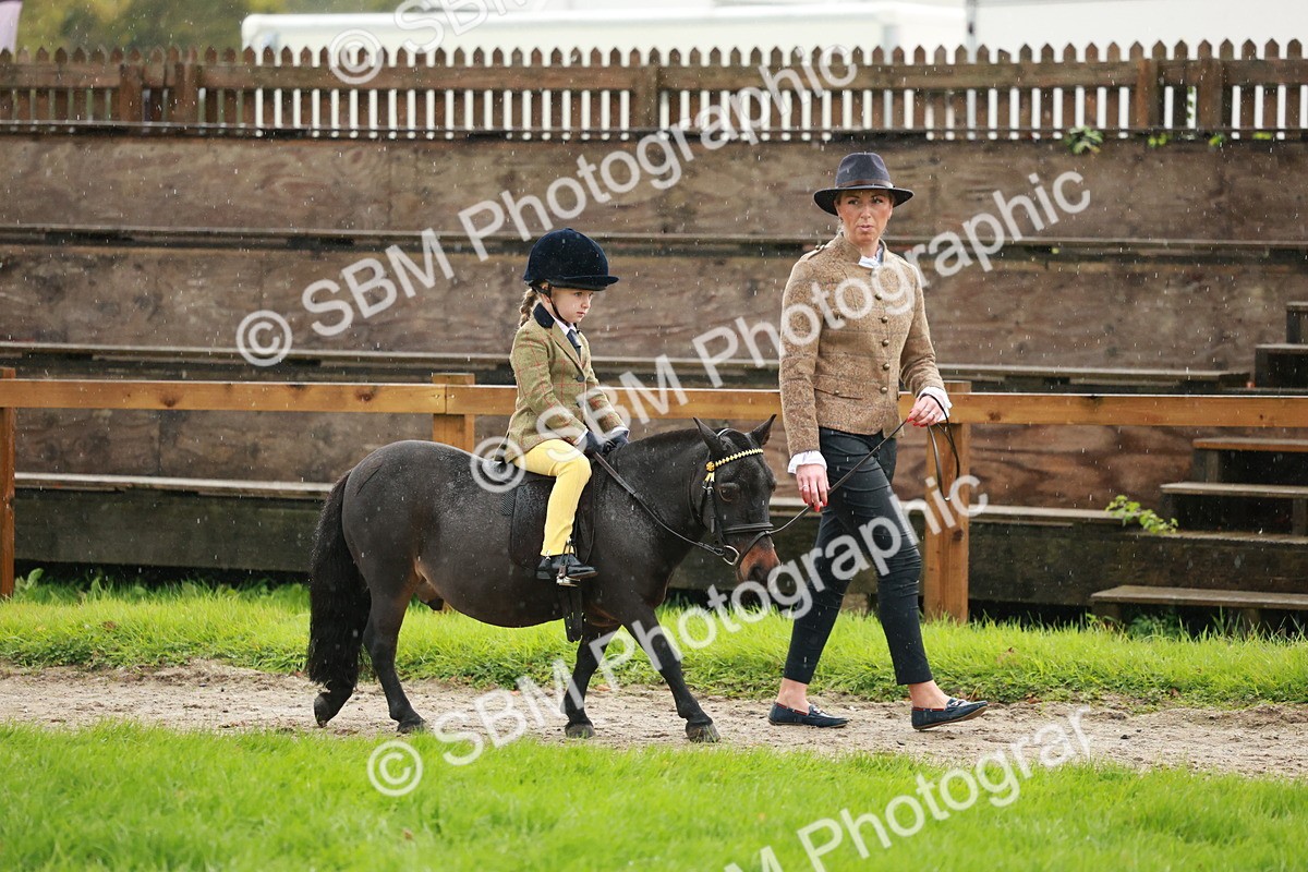 SBM_33692 - S9 - Lead Rein Equitation