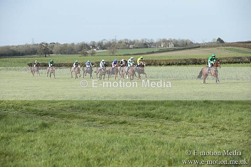 PtP 230319 451 - VWH Hunt Siddington Point-to-Point Racing 23/03/19