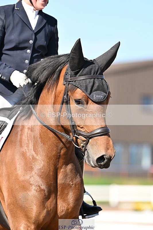 240816A-163444-06209 - 197-Karen.Martin-Furzeylodge.Weatherwax