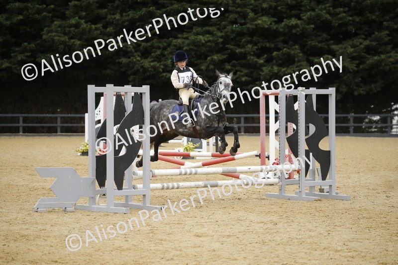 20250622-6213 - 60cm