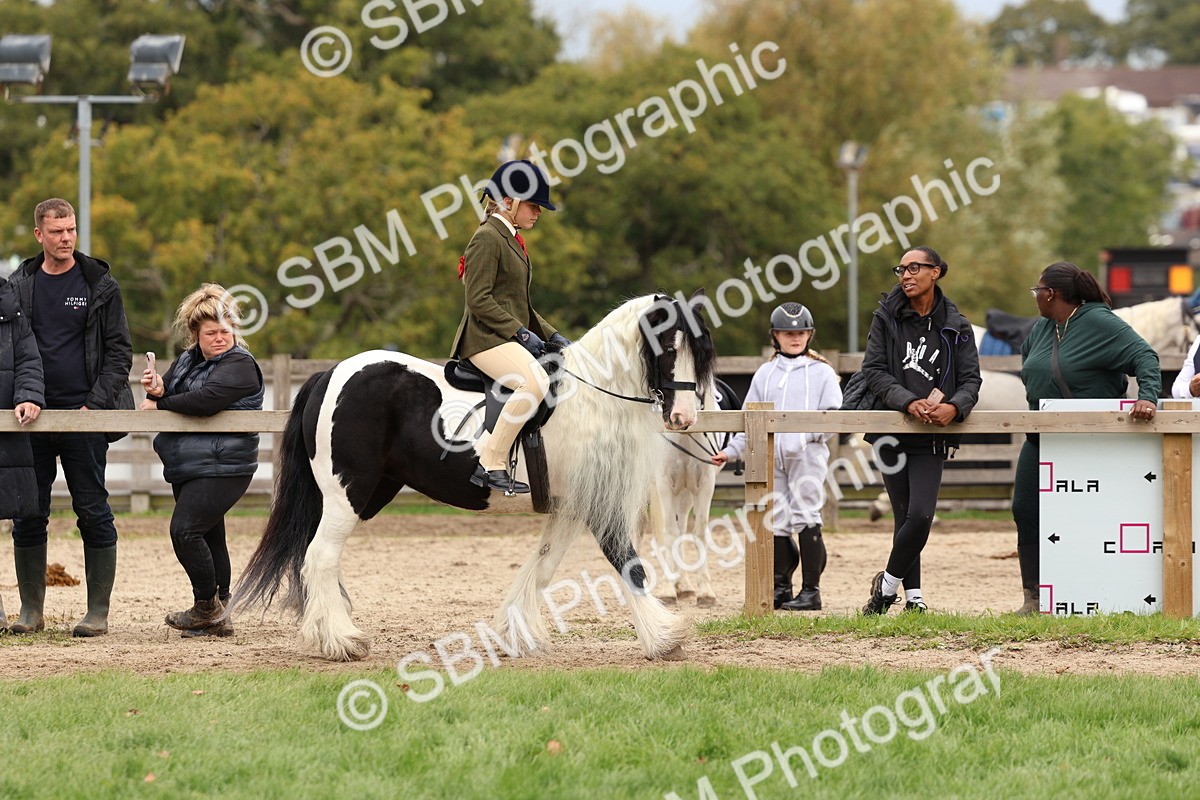 SBM_64406 - S58 - Coloured Pony Ridden