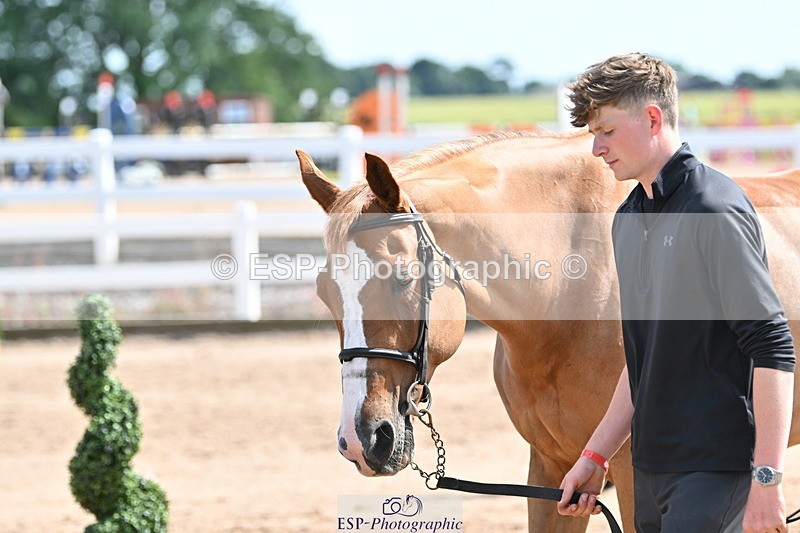 240717A-153710-02919 - Trot Up 3pm to 4pm