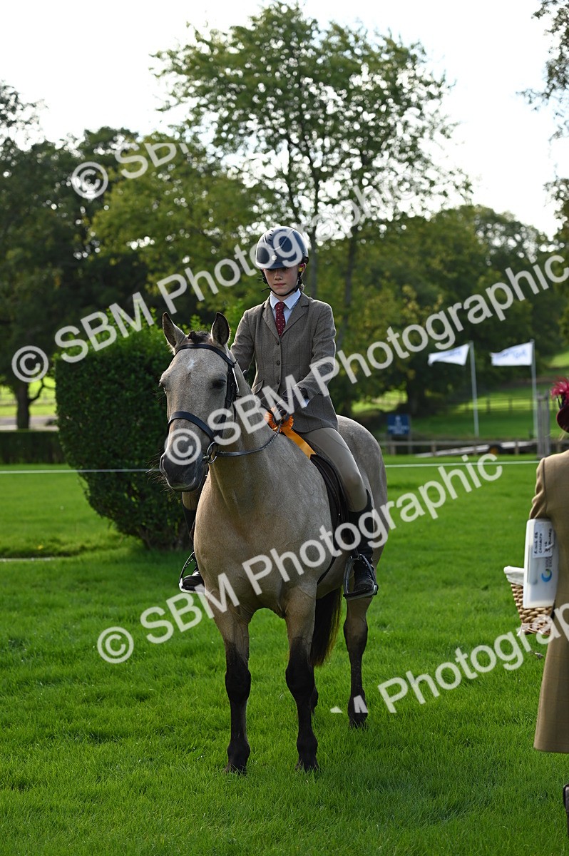SBM_02092 - S2 - TSR Ridden Horse Showing