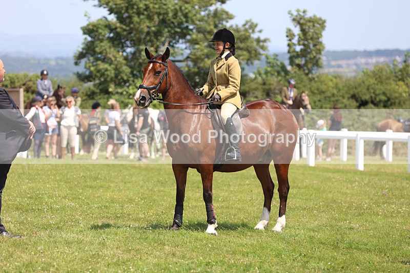 JPP_2979 - Class 22: Working Hunter 70cm