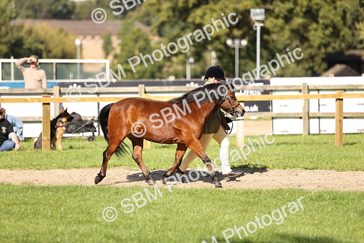 SBM_26135 - S5 - Novice & Newcomers In Hand