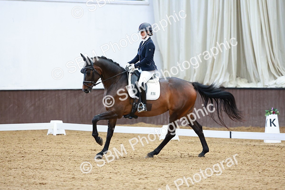 SBM_001485 - Class 5 - Novice 5