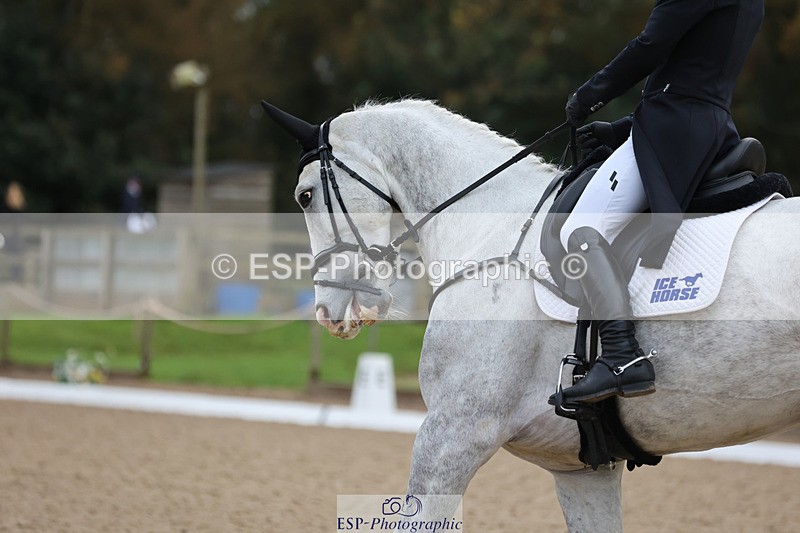 241024-090332-01016 - 121-Tommy.Greengard-EL.PORVENIR.LUIGI