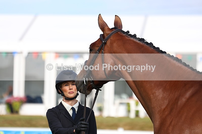 3E7A8291 - Class 2: Rising Star Large Hack/Riding Horse