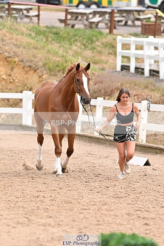 250716-144503-01360 - Trot Up 2.30 to 3.30