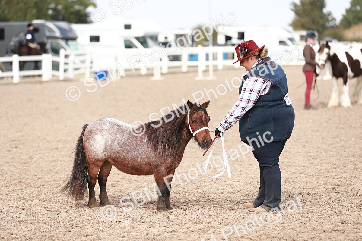 SBM_13935 - Class 209 IH Veteran Pony