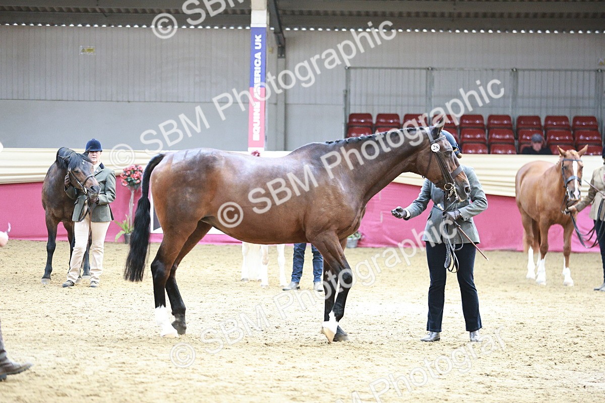 SBM_04850 - Class 7R - Regional IH Diamond