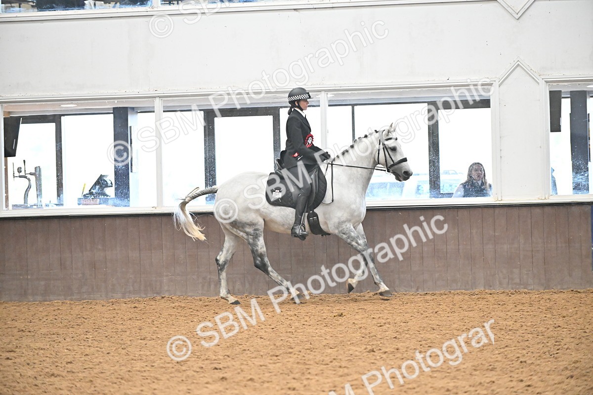 SBM_002739 - Ridden Showing Supreme Championships