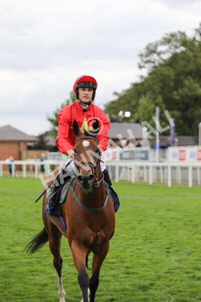 yr19082022r4-87 - Race 4 3.35pm Coolmore Wootton Bassett Nunthorpe Stakes (British Champion Series Race)