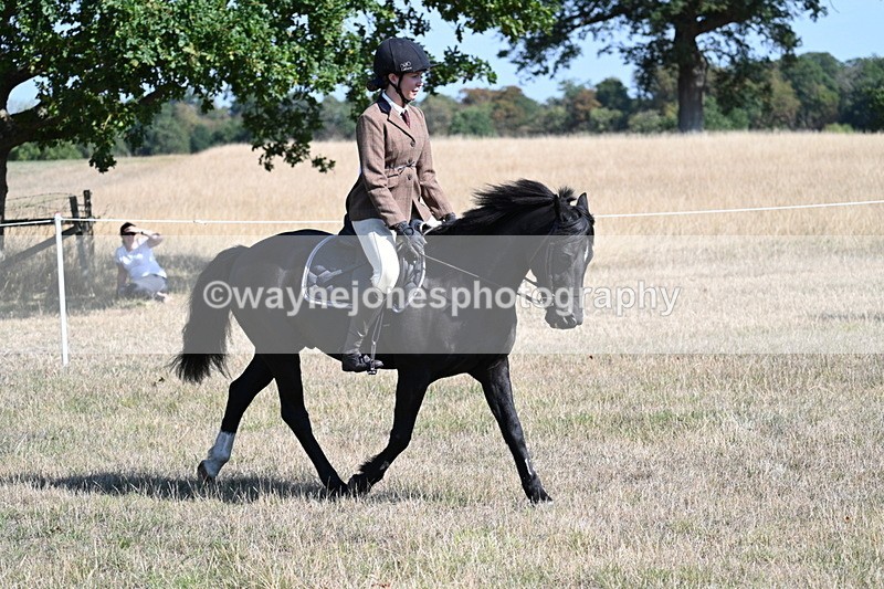WJ7_3802 - Class 9 Mountain & Moorland Ridden