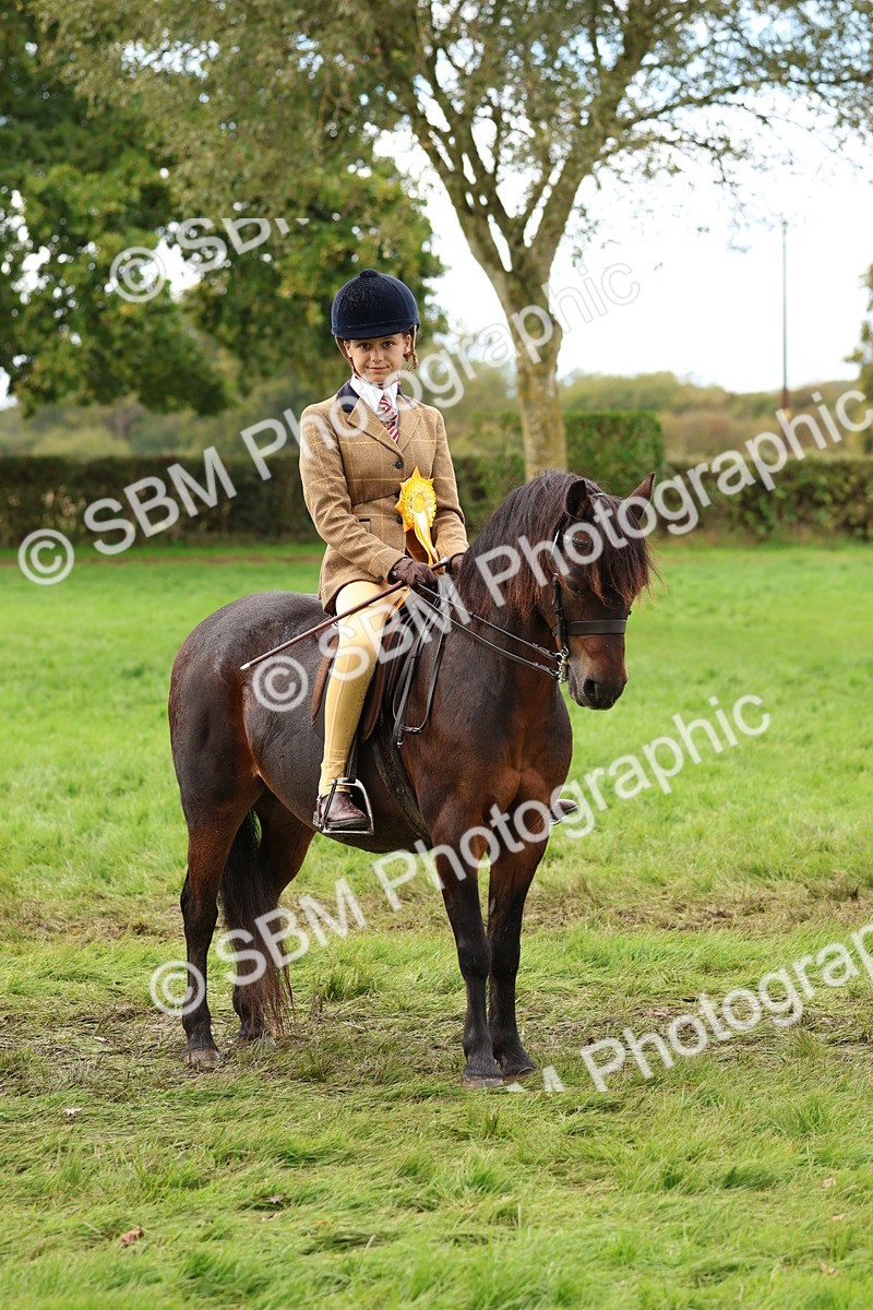 SBM_45134 - S27 - Young Veteran Ridden