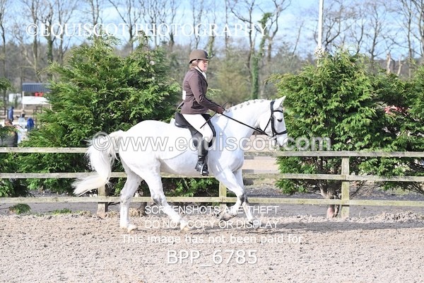 BPP_6785 - RING 1  (RIDDEN HORSES / IN HAND / VETERAN ETC)