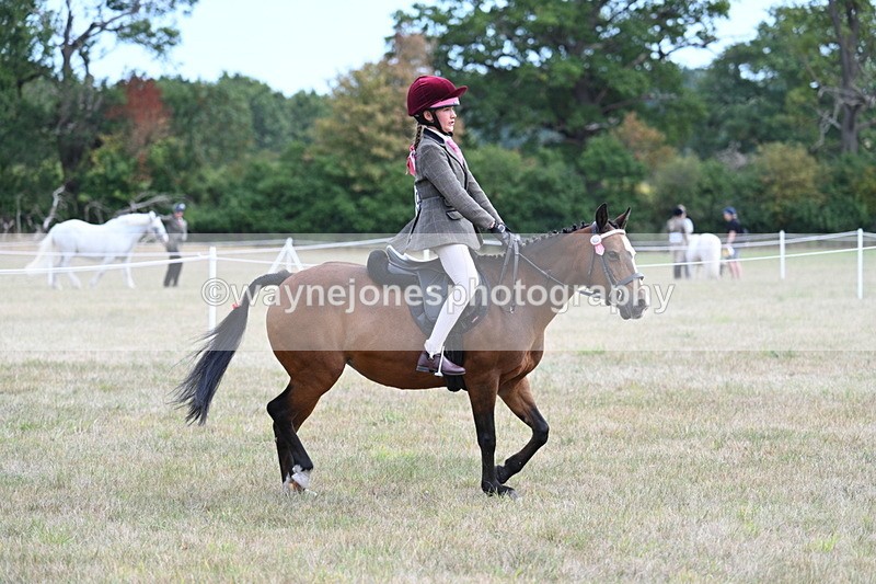 WJ7_5977 - Class 13 Ridden Veterans