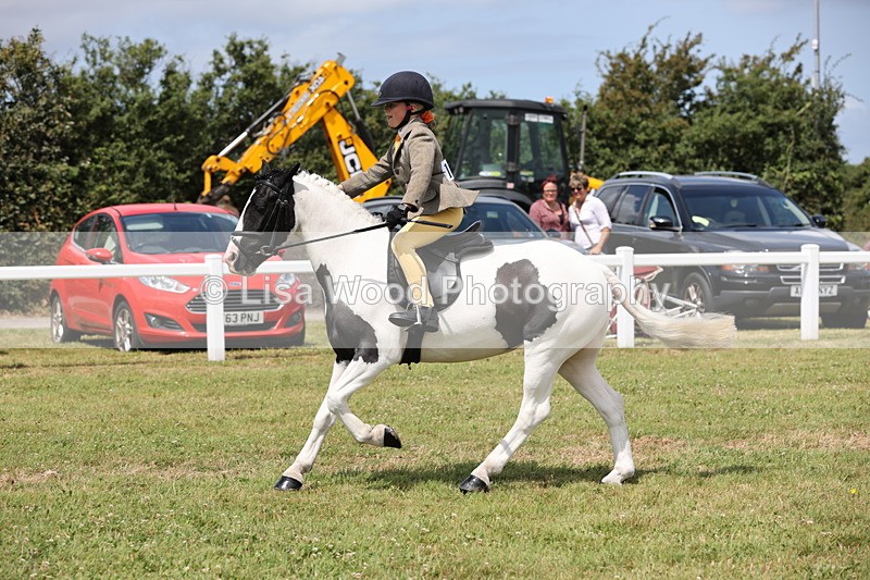 JPP_1804 - Class 18: Tiny Tots Working Hunter Pony